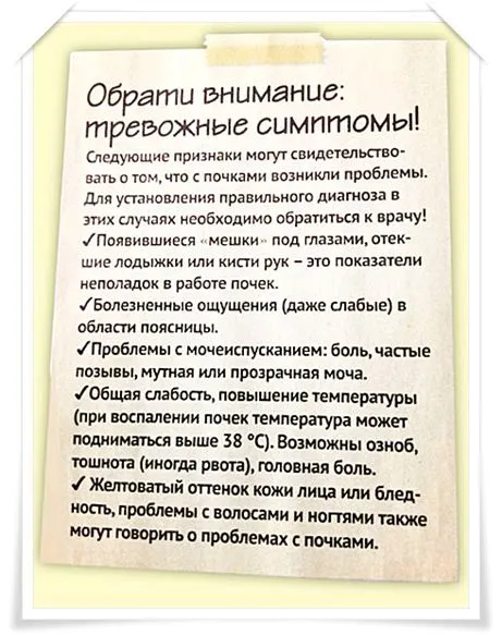 як вилікувати камені з нирок