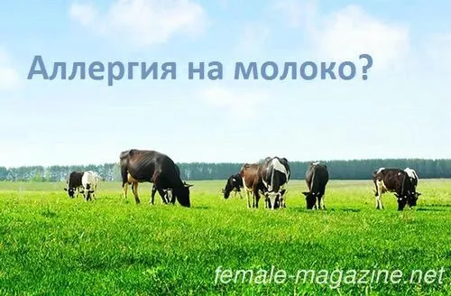 як лікувати алергію на молоко у дитини
