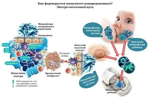 як лікувати грип в період лактації