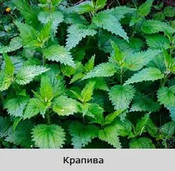 лікування радикуліту в домашніх умовах