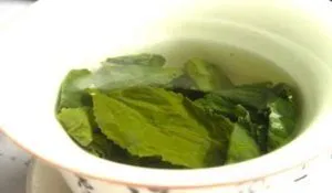 як лікувати шлунок подорожником