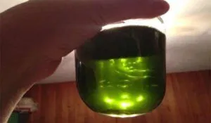 як лікувати шлунок подорожником