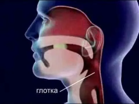 як лікувати ферменти печінки
