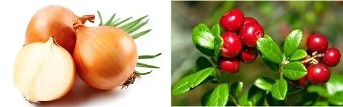 вилікувати артроз будинку