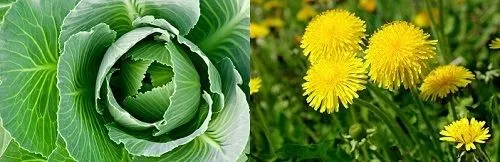 вилікувати артроз будинку