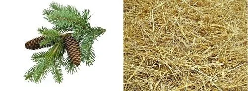 вилікувати артроз будинку