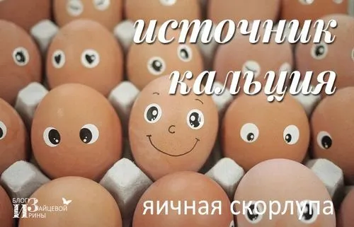 Яєчна шкаралупа яєчна шкаралупа. користь і шкода