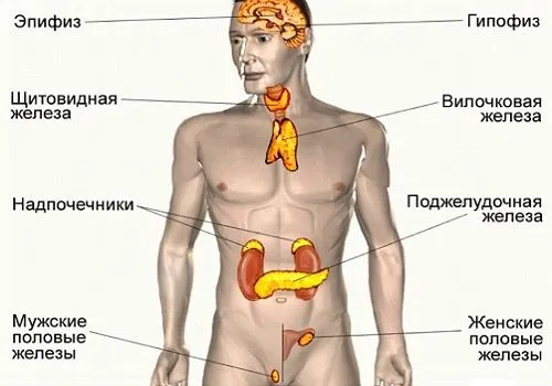 як вилікувати мастопатію гомеопатією