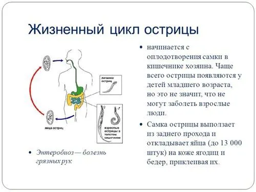 якщо не лікувати гострики що буде