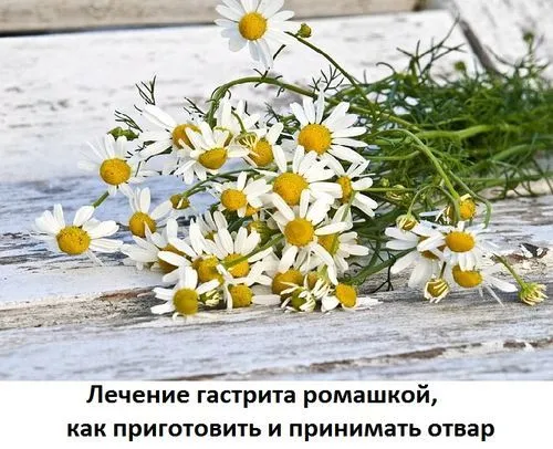 лікування аконітом