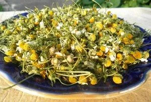 якщо не лікувати дерматит