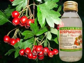 як лікувати аритмію серця народними засобами