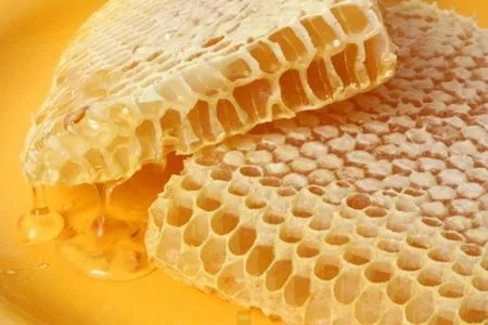 як лікують ясна маслом обліпихи