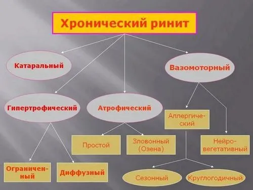 Види хронічного риніту хронічний риніт види
