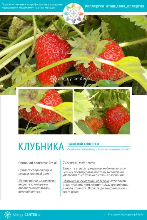 алергія на полуницю