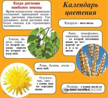 як вилікувати алергію на цвітіння народними засобами