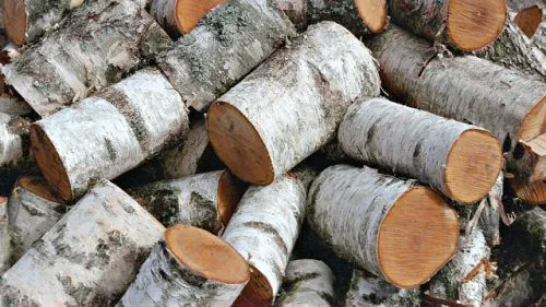 лікувати жіночий алкоголізм