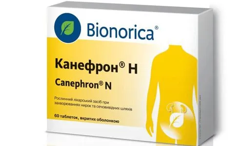 як лікувати нирки при годуванні груддю