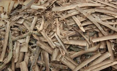 як лікувати опісторхоз в домашніх умовах