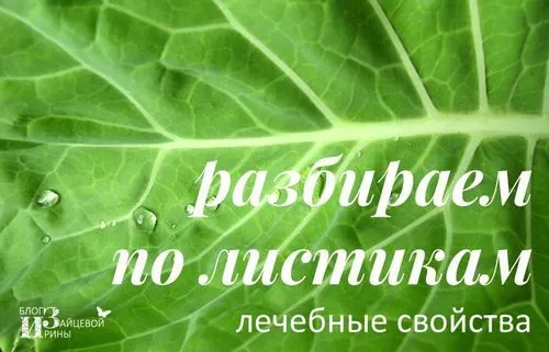 Капустяний лист як лікувати суглоби капустою