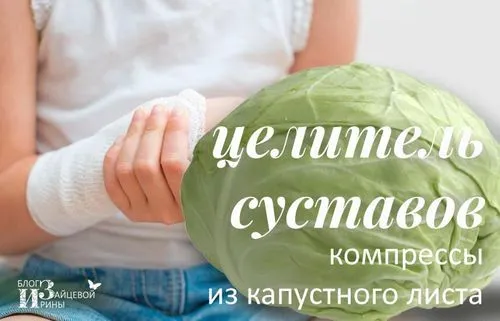 Капустяний лист як лікувати суглоби капустою