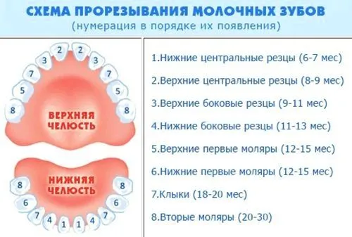 лікування проносу під час прорізування зубів