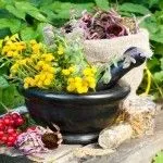 як лікувати запалення легенів народними засобами