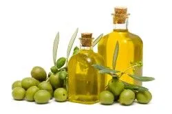 органи кровотворення