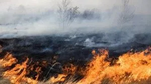 Отруєння димом: симптоми, що робити і перша допомога що робити