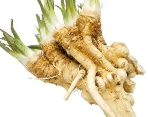 як лікувати фурункул на животі
