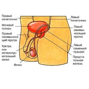 як лікувати рак сечового міхура