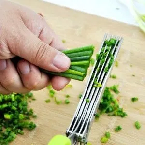 як лікувати застуджені ясна