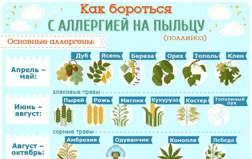 як лікувати алергію маслом чорного кмину