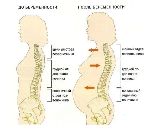 жіночий журнал