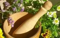 як вилікувати безпліддя травами