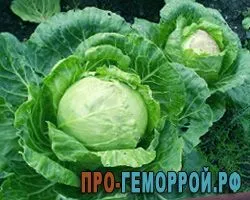 капуста при геморої