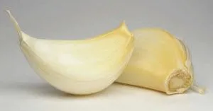 лікувати геморой часником