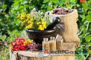 як лікувати гастрит шлунка народними засобами