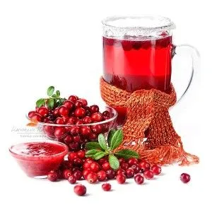 як лікувати нирки в домашніх умовах
