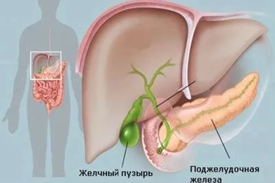 як лікувати проблеми з жовчним