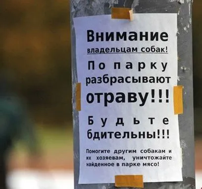 як лікувати отруєння щурячою отрутою