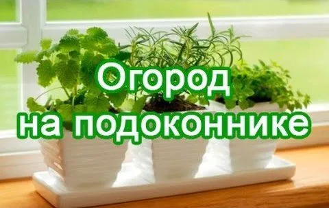 вірус
