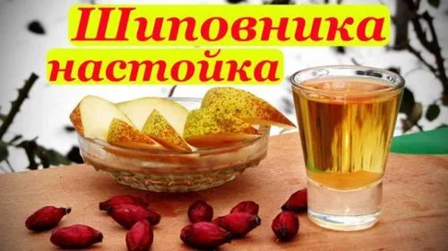 вірус