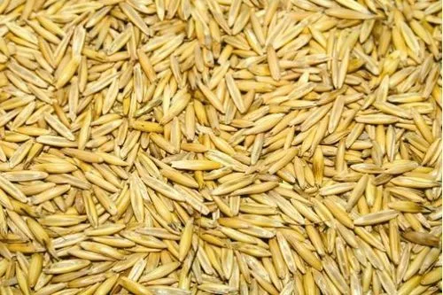 як лікувати легені курця