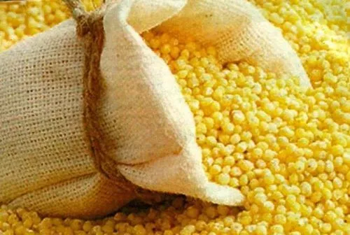 як лікувати нирки в домашніх умовах