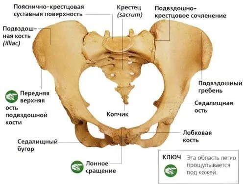 як лікувати артроз таза