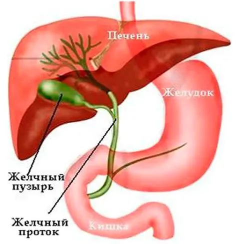 як вилікувати холецистит назавжди