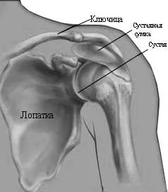 Бурсит плечового суглоба: симптоми, причини, лікування, відновлення... як лікувати бурсит лопатки