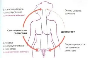 Жанін і ендометріоз відгуки врчей інструкція як приймати лікування ціна препарат