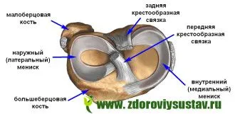 як лікувати розірваний меніск